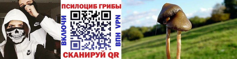 где купить наркотик Лукоянов Псилоцибиновые грибы MAGIC MUSHROOMS
